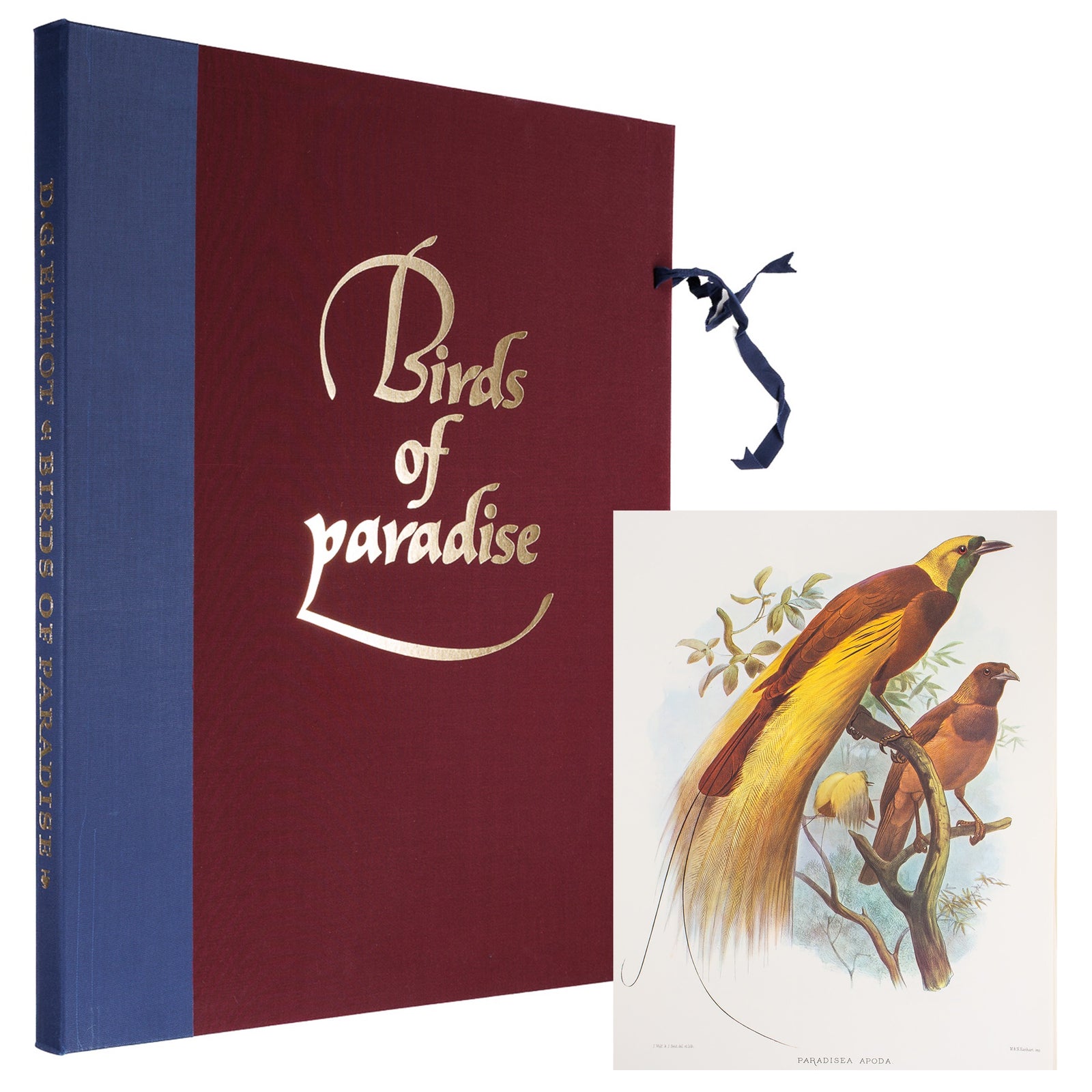 Front cover Daniel Giraud Elliot Monograph Paradiseidae Birds of Paradise limited edition 291 of 500 elephant folio Zaehnsdorf for gallery