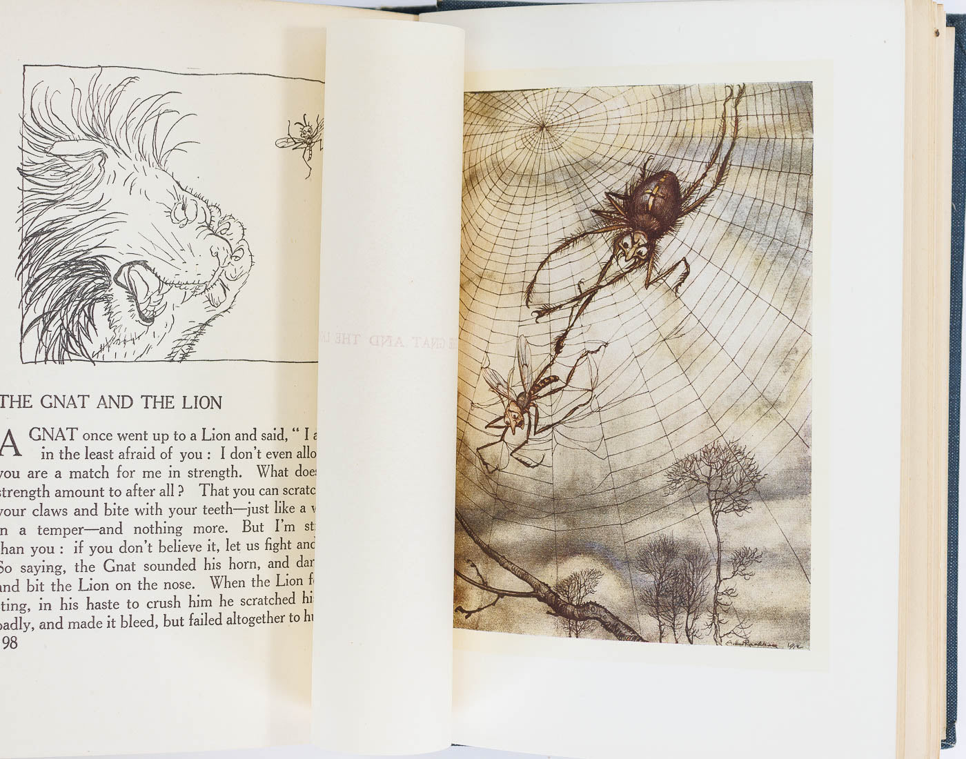 Arthur Rackham Aesop's Fables 1929 Heinemann Illustrated - Tenth Legion ...