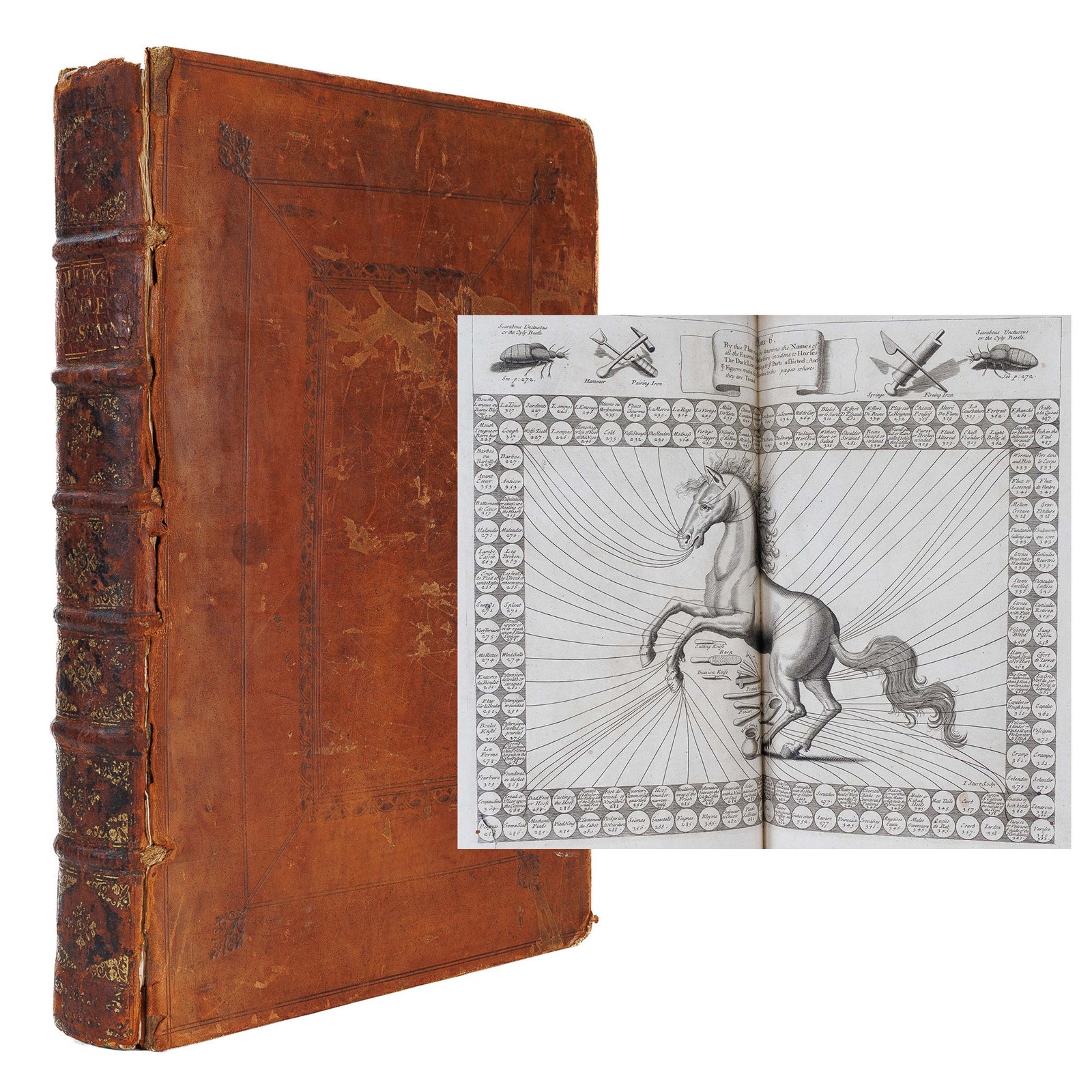 <center> Jacques de Solleysel + William Hope <br><i> The Compleat Horseman HORSES </i><br> FOLIO Original Full Leather <br><i> Fine FOLD-OUT ENGRAVINGS </i><p> 1717 </center>